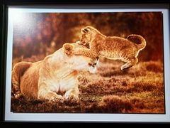 -罗红摄影艺术馆