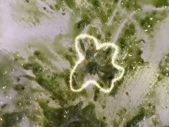 -造精酿餐厅