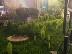 -伊犁河景区