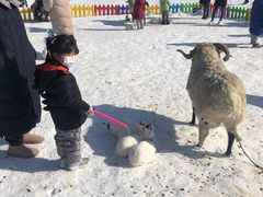 -绿野森林乐园冰雪季