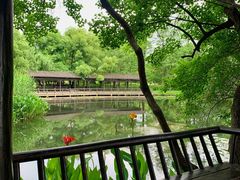 -东湖落雁景区