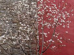 -东华门大街小区