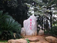 -武汉大学-樱园