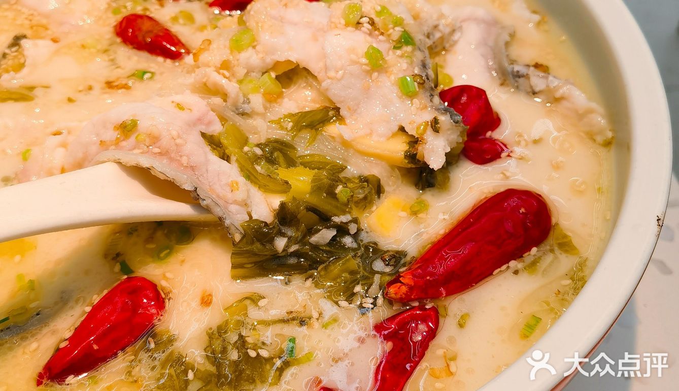 大树 | 为了它的美貌来吃它🌳好拍网红店