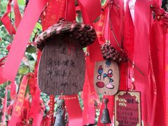 -玻璃桥景区石牛寨