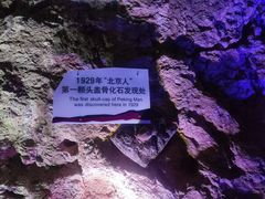 -北京周口店北京人遗址博物馆