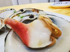 马贝-蚝专家(北滘店)
