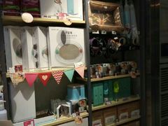 -PETKIT 小佩宠物·低压洗护·美容·寄养(安远店)