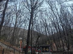 -红螺寺