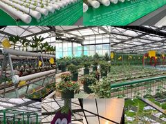 -兰陵国家农业公园