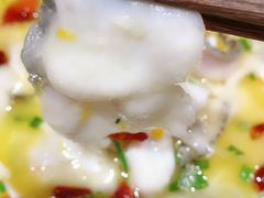 酸菜黑鱼片-椿不老