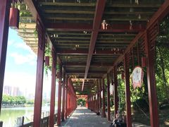 -光明港公园