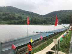 -普迪生态园