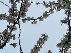 -南开大学(津南校区)