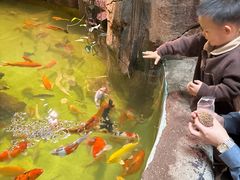 -正佳雨林生态植物园