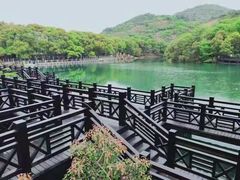 -白马涧龙池景区