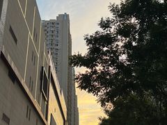 -MM·五声·音乐人与调酒师(西安路店)