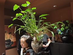 -泰·菩提树下[泰式按摩x精油SPAx肩颈头疗](新景店)