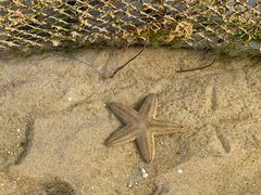 -北海金海湾红树林生态旅游区