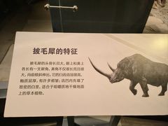 -大庆市博物馆