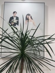 -北遇映画PHOTO GRAPHY STUDIO