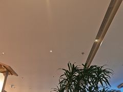 -桂满陇·蟹黄小笼汤包(巴黎春天浦建店)