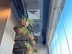 -Wagas沃歌斯(五道口购物中心店)