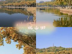 -西溪国家湿地公园