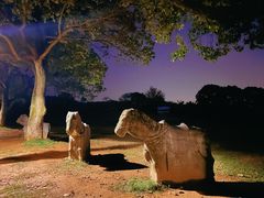 -雨花胜境
