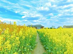 -中国天府农业博览园