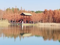 -虎丘湿地公园