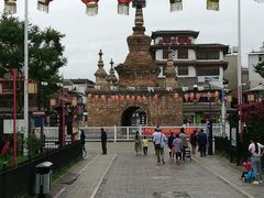 -眼镜粑粑