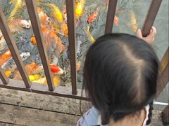 -大门水乡·顺德菜