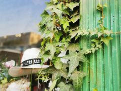 -参差咖啡(水果湖公园店)