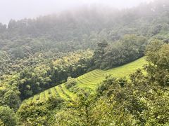 -敬亭山风景名胜区