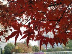 -老东吴食府(雅都店)