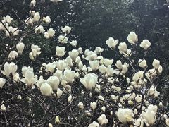 -昆山城市生态森林公园