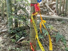 -会稽山峡洞漂流-上青古道