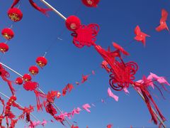 -绿野森林乐园冰雪季