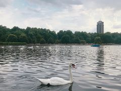 -海德公园