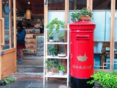 寄给未来-猫的天空之城概念书店(丽江古城饮玉巷店)