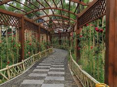-文瀛公园