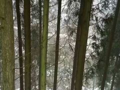 -九峰山