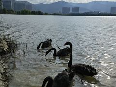-长兴太湖图影湿地文化园
