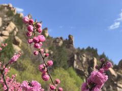 -北京凤凰岭