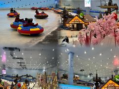 -广州热雪奇迹