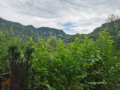 -幽岚山·童话森林
