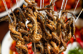 Premium Grilled Eel
