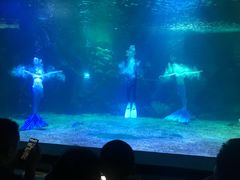 -石家庄海洋公园