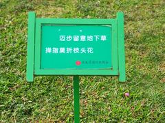 -亚龙湾国际玫瑰谷
